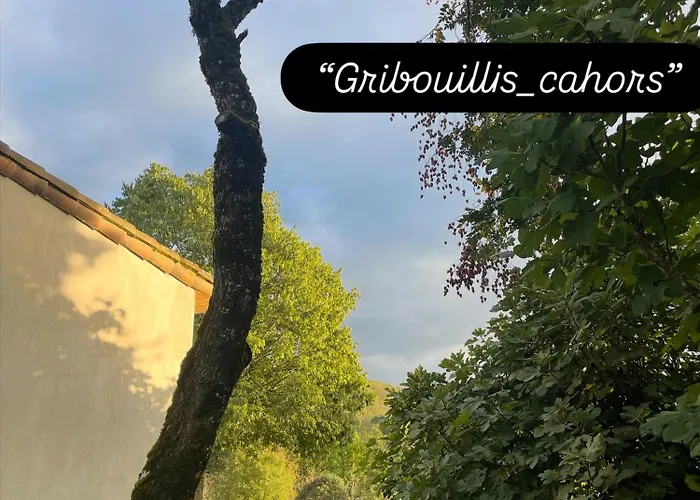 Πανσιόν Gribouillis