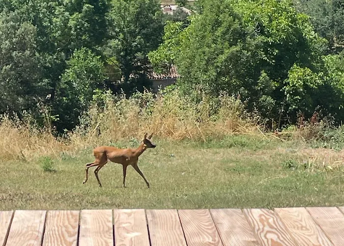 Gribouillis Πανσιόν 3*