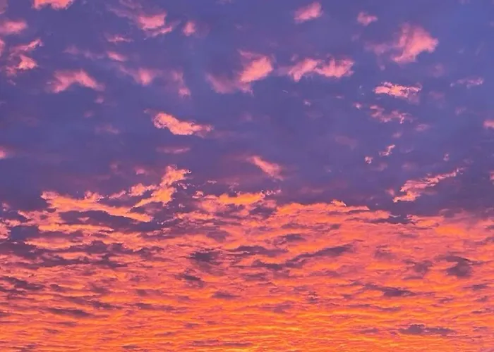 Gribouillis Πανσιόν